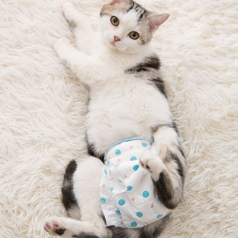 Cat Diapers Kitten Diapers Nappies  10pcs