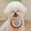 Pet Fashion & Accessories/ Pet Bib