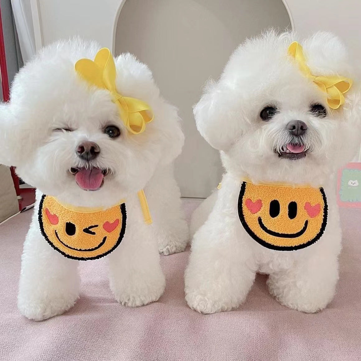 Pet Fashion & Accessories/ Pet Bib/ Emoji