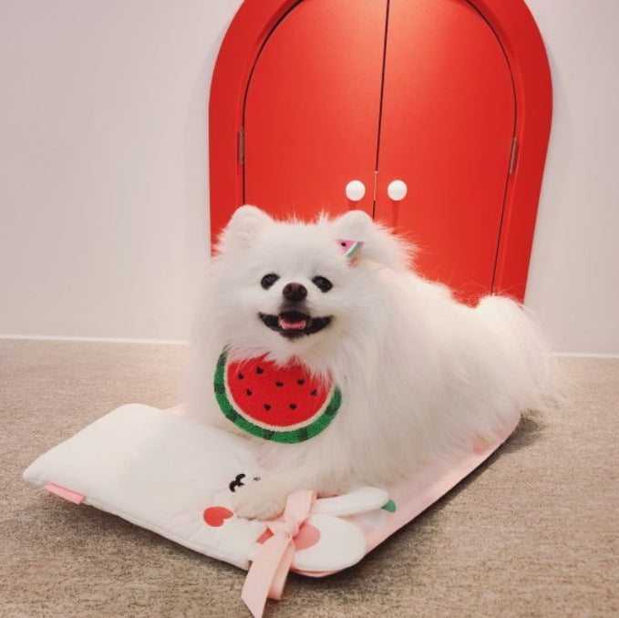 Pet Fashion & Accessories/ Pet Bib/ Watermelon