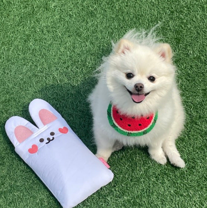 Pet Fashion & Accessories/ Pet Bib/ Watermelon