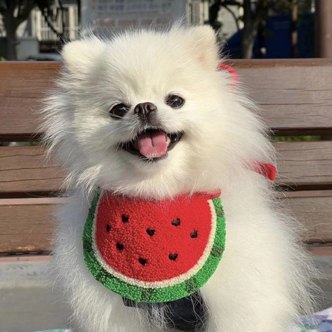 Pet Fashion & Accessories/ Pet Bib/ Watermelon