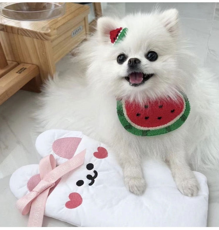 Pet Fashion & Accessories/ Pet Bib/ Watermelon