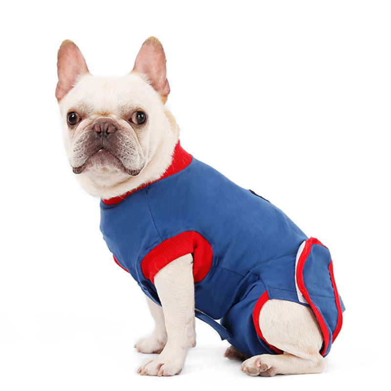 Dog Recovery Suit After Surgery Wear, Soft Pet Medical Surgical Clothes Onesie Professional Recovery Costume