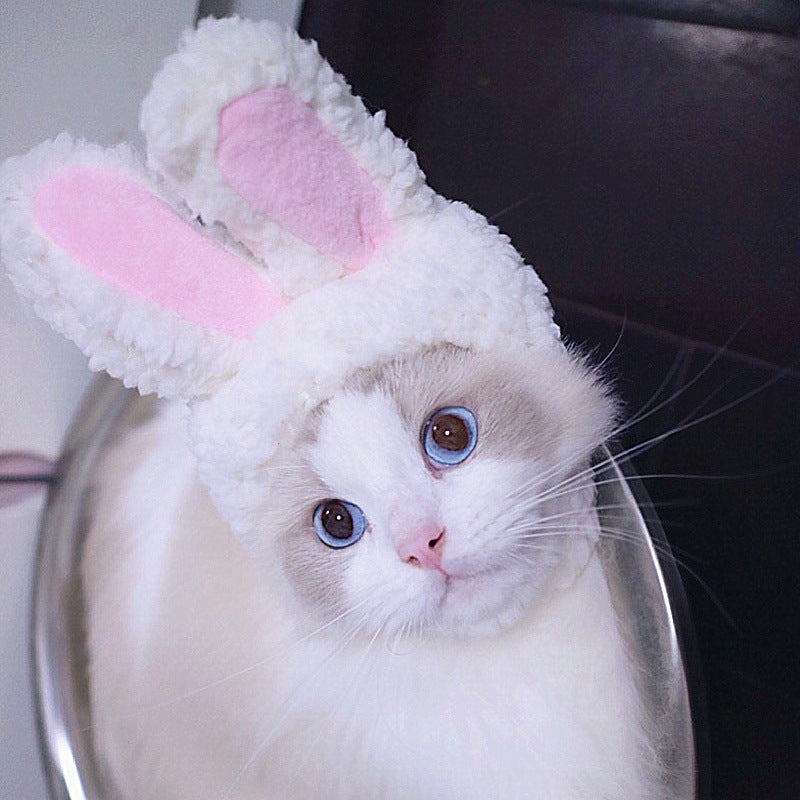 Cat Headgear Cute Rabbit Ears Dress Up Hat